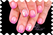 081_k-h.c-