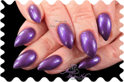 051_h.ch-
